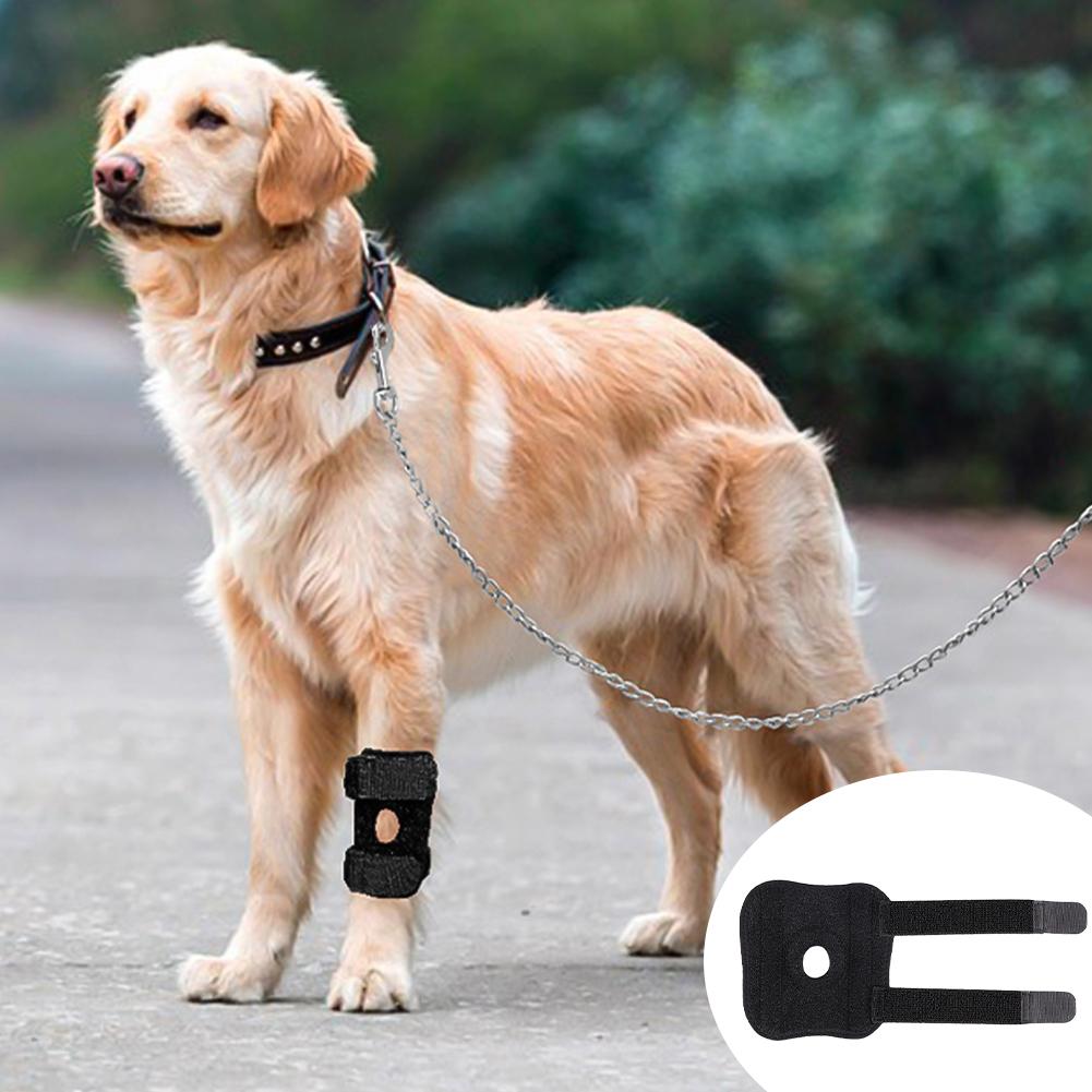 Dog Hock Support Canine Rear Injury Recovery Fixed Leg Support Brace Pain Relief Dog Knee Pads Knee Brace Joint Wrap Support Pet Recover
