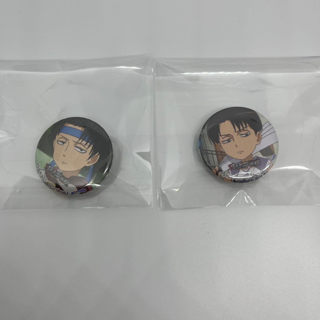 

[USED] Attack on Titan Attack on Titan Junior High School Levi Can Badge Animate Bonus