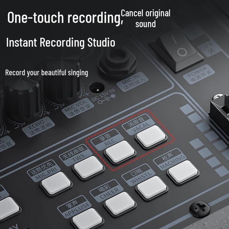 Newmine N538 15-inch Portable Bluetooth Speaker with Dual Mics