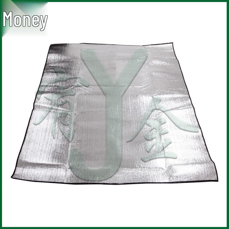 Youjin Thickened Aluminum Film Outdoor Mat