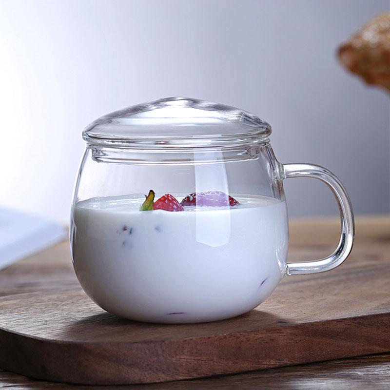 Glass Tea Cup with Infuser and Lid 350ml Large Borosilicate Teacup,Tea Glass Clear Mug for Loose Leaf Tea Gift for Birthday