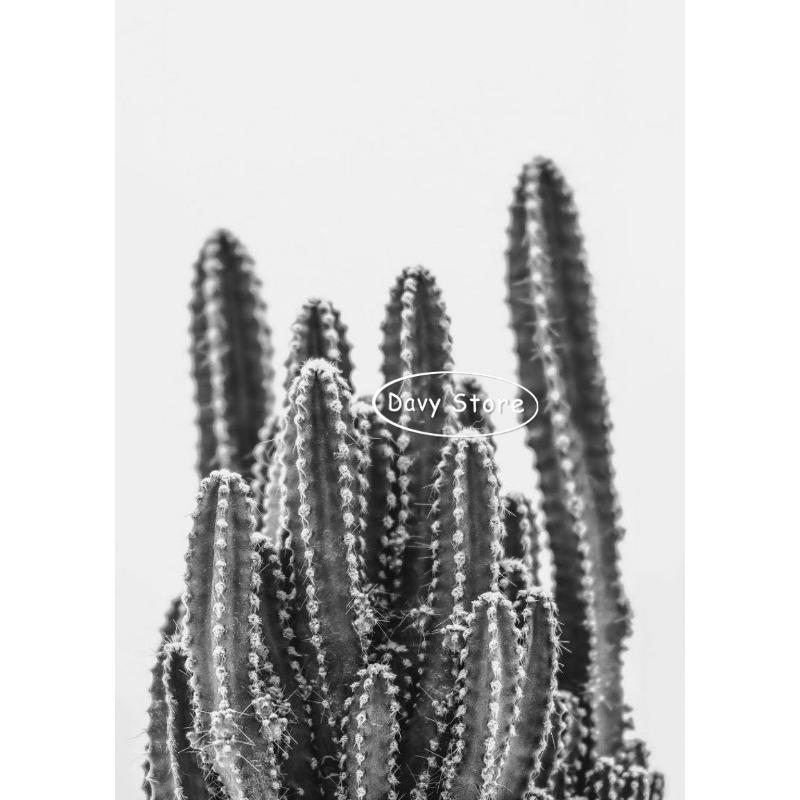 Cactus Posters and Prints Canvas Painting Boho Cactus Black and White Modern Wall Art Picture for Living Room Home Decor