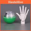Pvc Hand Model With Articulation For Sketching And Creative Drawing