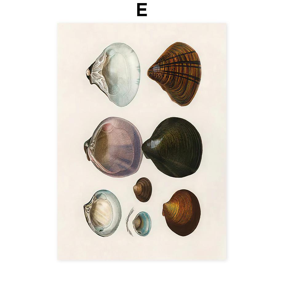 Vintage Marine Life Shrimp Shells Wall Art Poster Canvas Decorative Printing Art Prints Nordic Mural Living Room Home Decoration
