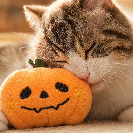 jijijing Halloween Theme Cat Toy, Soft Ghost Bat Pumpkin Plush Cute Stuffed Chew Toy for Indoor Cats Boredom Relief