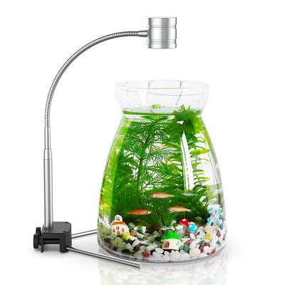Pești și animale marine – Iluminare acvariu