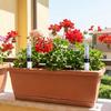 5Pcs Plastic Soil Moisture Devices Water Level Meter Visible Water Level Signs Flower Pot Water Shortage Reminder
