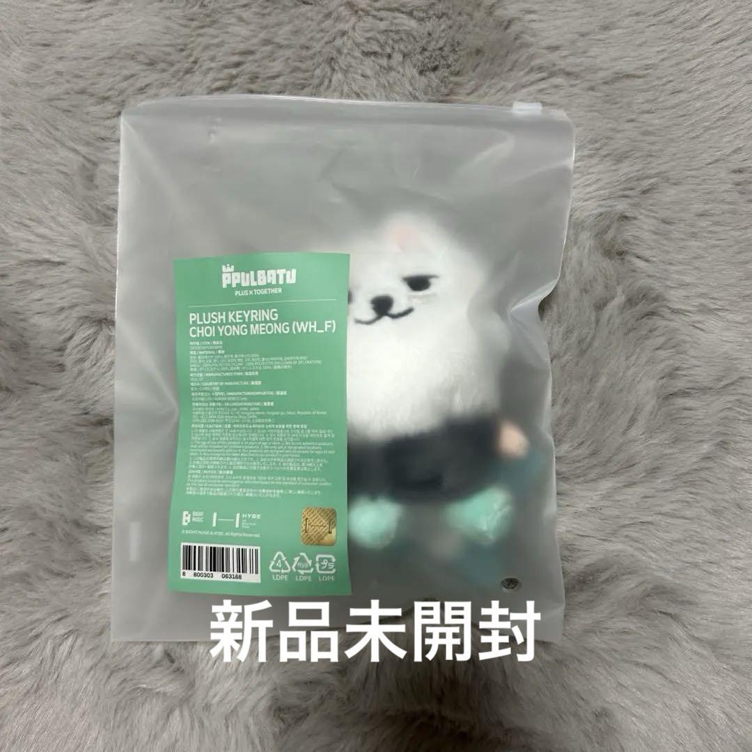 

[USED] TXT Yongmon KEYRING Pulpadu Sit