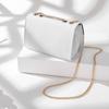 Bag New Women's Bag Autumn and Winter Messenger Bag High-end Trendy Niche Design Leather Chain Small Square Bag