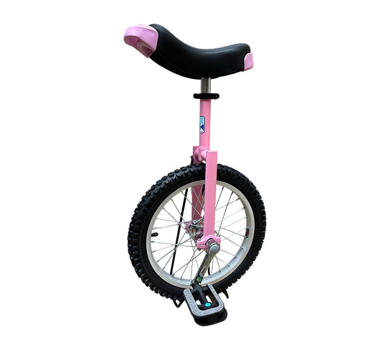 Cross-Border Unicycle for Children and Adults