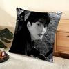 Singer Cha E-Eun W-Woo Cushion Cover Soft Short Plush Pillow Cover Smooth Cozy Texture Aesthetic Cushion Case Home Decor