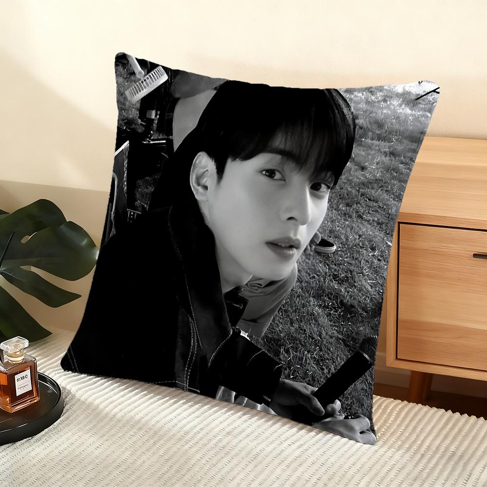 Singer Cha E-Eun W-Woo Cushion Cover Soft Short Plush Pillow Cover Smooth Cozy Texture Aesthetic Cushion Case Home Decor