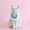 1/2 Peças Desenho Animado Xadrez Cowboy Urso de Pelúcia Coelho Animal de Estimação Boina Babador Laço de Renda Conjunto de Decoração para Animais de Estimação Gatos Cães Acessórios de Vestuário para Animais de Estimação