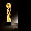 Customized Gold-plating Resin Trophy Award Souvenir, Excellent Character, Home Decoration, Creative, Crystal Base, Engraving 1Pc