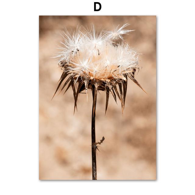 Reed Dandelion Flower Shell Sand Forest Wall Art Canvas Painting Nordic Posters And Prints Wall Pictures For Living Room Decor