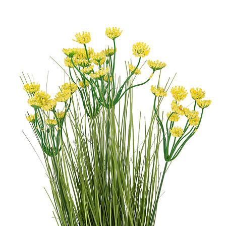 A Bouquet Of Artificial Wild Flowers, Yellow With Green Stems