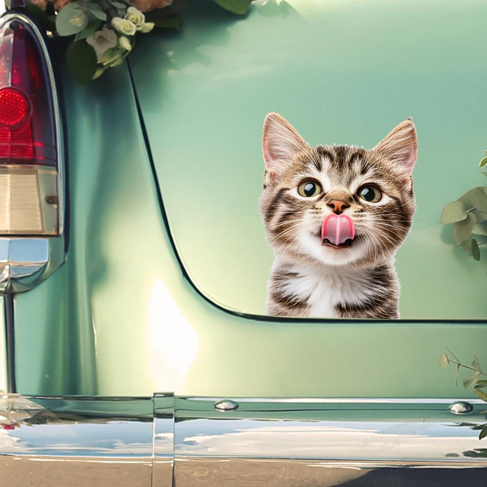 Quirky Cat Glass Car Beautification Decoration Stickers