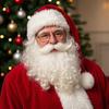 Santa Claus Beard Curly Fluffy Costume Adults/Kids Christmas Performance Santa Fake White Handlebar Mustache for Cosplay Party
