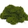 Non-Fading Moss Wool for Water Tanks, Plant Walls, and Garden Rockery Landscaping