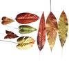Autumn Forest Style Artificial Leaves and Flowers for Home Decoration