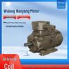 Wolong Nanyang IE4 Three-Phase Asynchronous Motor with Full Copper Winding, Low-Voltage High-Efficiency.