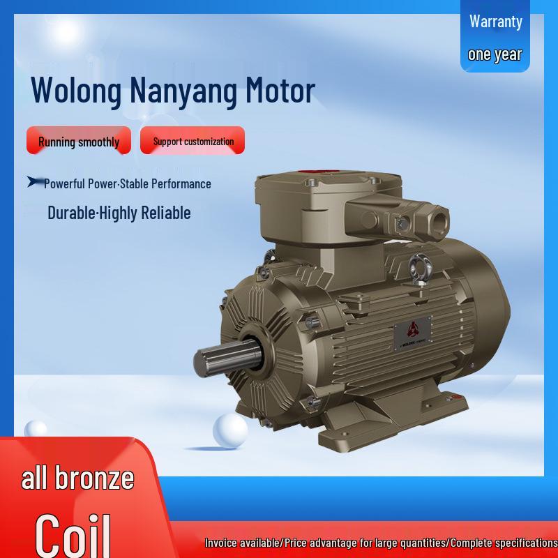 Wolong Nanyang IE4 Three-Phase Asynchronous Motor with Full Copper Winding, Low-Voltage High-Efficiency.