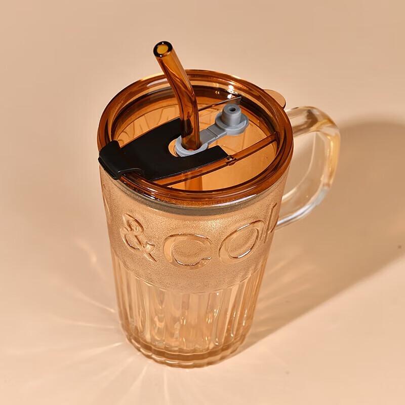 Shanchongshan Glass Straw Coffee Mug with Handle, 400ml