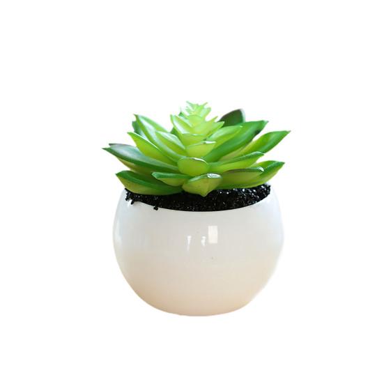 Fałszywe rośliny doniczkowe Odporne na warunki pogodowe rekwizyty fotograficzne Szerokie zastosowanie Doskonałe mini sukulenty Biurko Akcesoria domowe doniczkowe