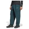 adidas Брюки Terrex Xploric Cargo