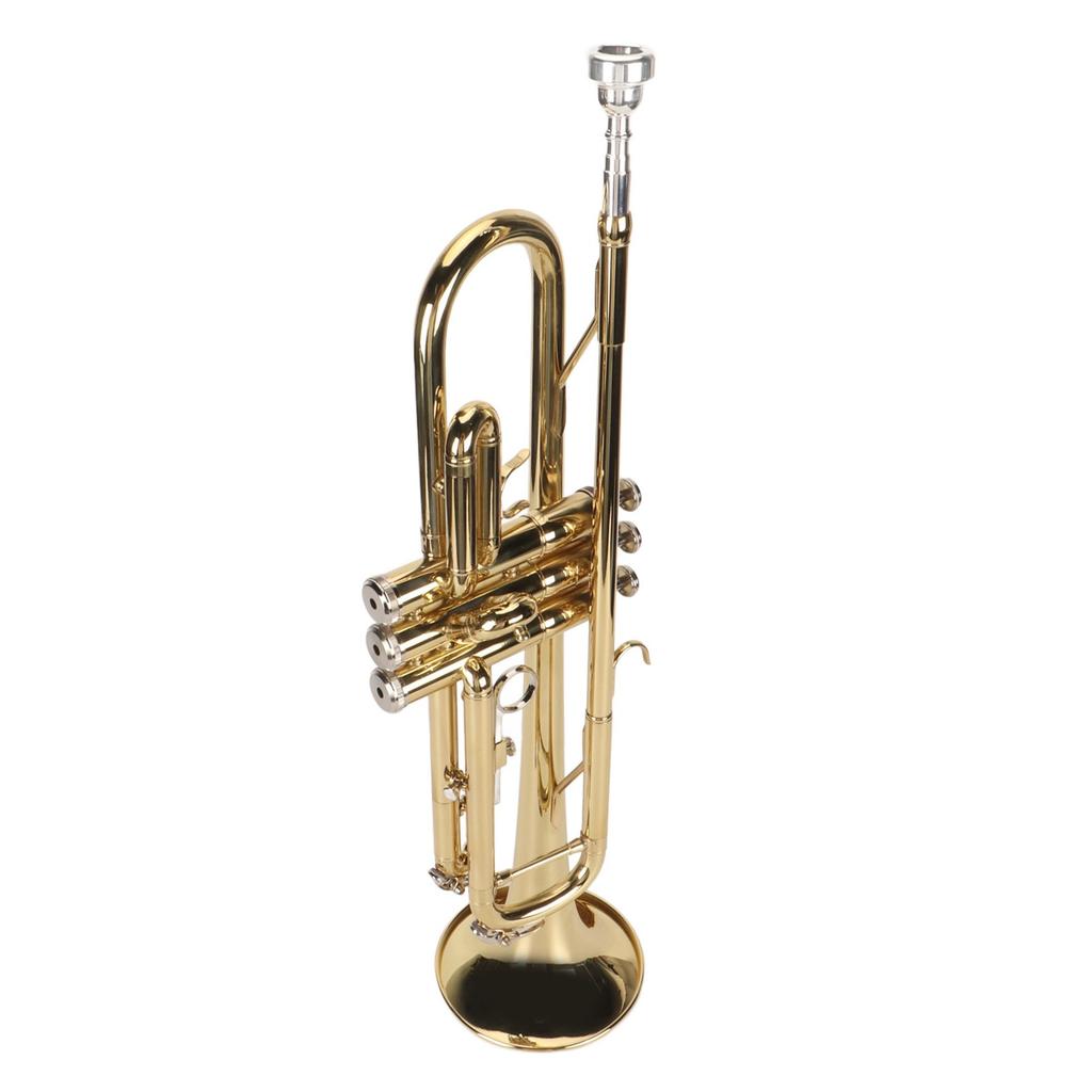 Bb Trumpet Set with Mouthpiece Nickel Plated Bass Trumpet Wind Instrument for Student Beginner