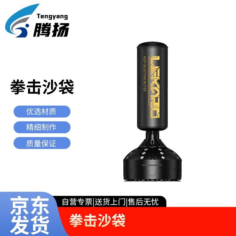Tengyang Freestanding Punching Bag with Gloves