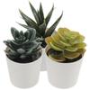 3 Pcs Potted Succulents Faux Plant Fake Decors Bonsai Ornament Mini Desktop Adornments Plastic Ornaments
