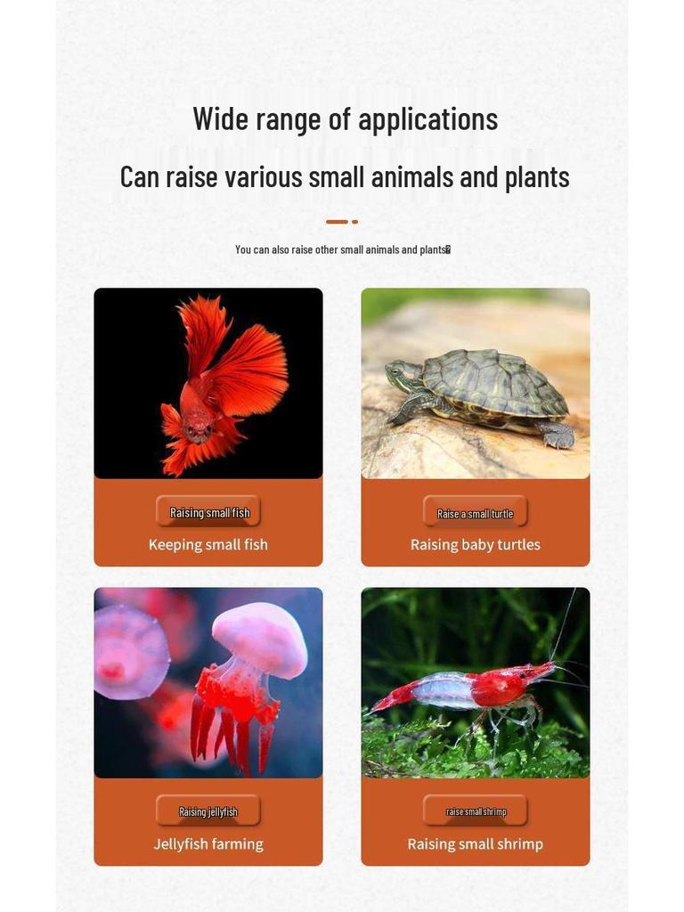 Creative Douyu Small Desktop Fish Tank with Light and Acrylic Aquascaping