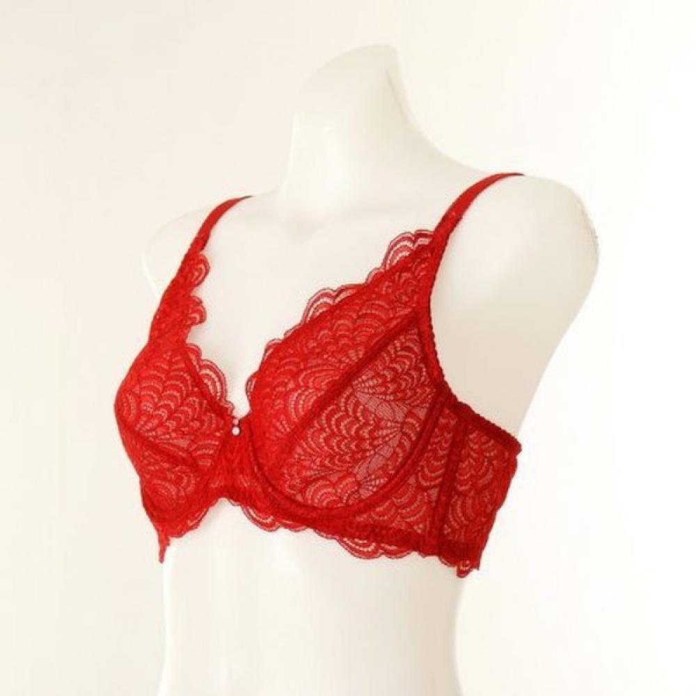 Wacoal Modern Full Cup Bra Wbr1968e