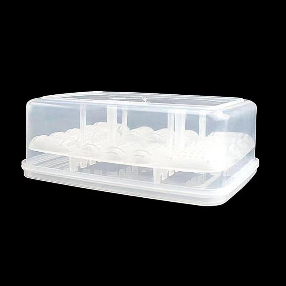 16 Grids Reptile Hatch Box Transparent Reptile Breeding Hatchery Turtles Egg Incubator Tray  Snake