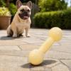 Dog Chew Toy, Soft TPR Teething Bone for Small Dogs, Stain Resistant Deep Teeth Cleaning Stick for Puppy