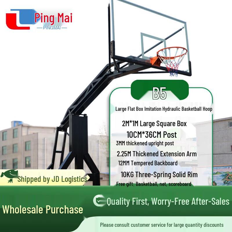 Pingmai Portable Basketball Hoop