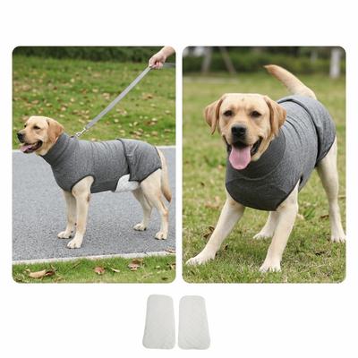 Cães – Cuidados de cães