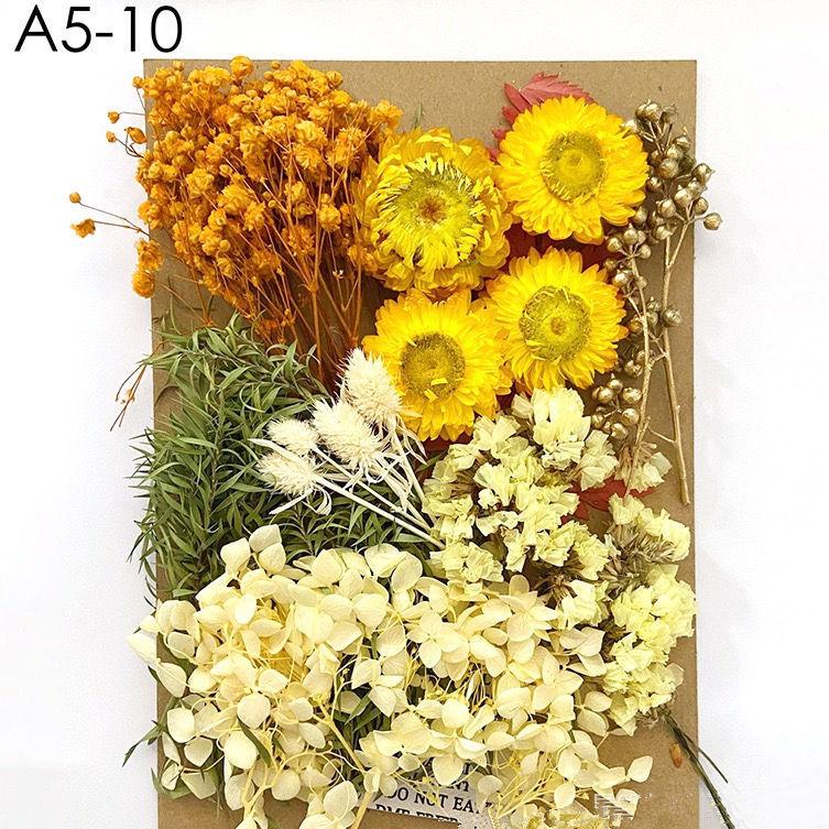Exquisite Eternal Dry Flower Ancient Style Group Fan Material Pack for Children's Handmade Exclusive Decoration Dried Flowers