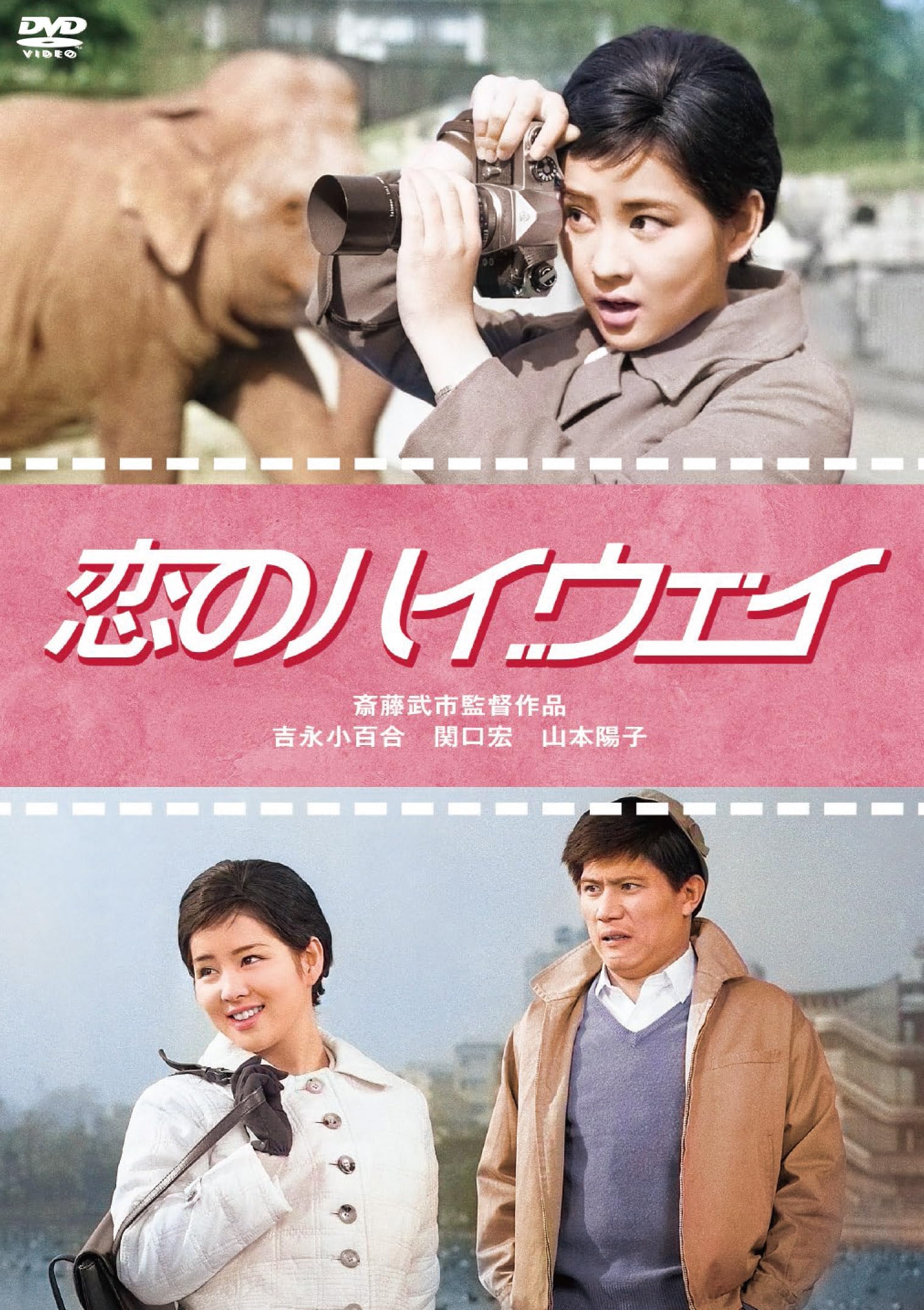 

Sayuri Yoshinaga 65th anniversary of Nikkatsu debut DVD series and Pure Highway of Love size bromide Blu-ray & “Youth Love” (L included) [DVD]