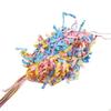 Pet Toys Household Simple Small Foraging Star Bonka Bird Toy Parrot Cage Toys Cages Cockatiel Accessories Supplies Tools