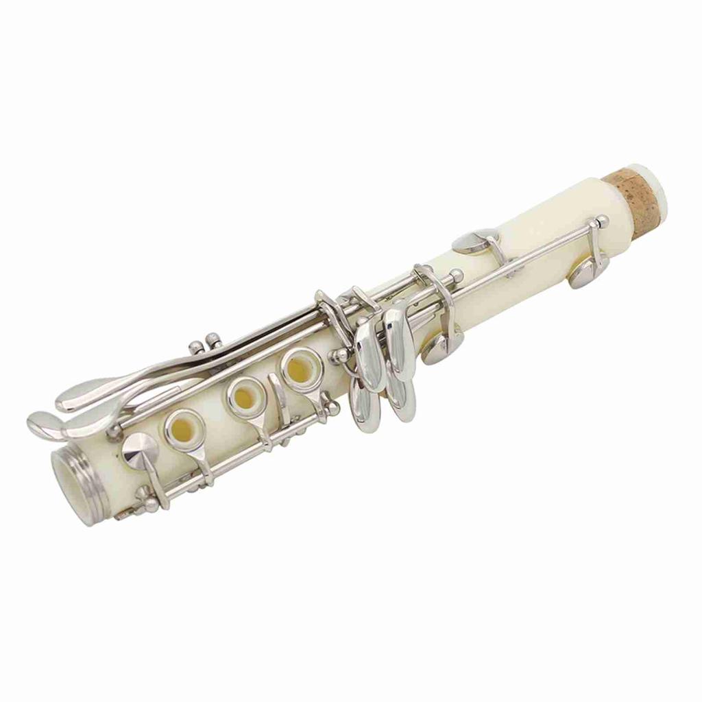 Clarinet ABS 17 Key bB  Flat Soprano Binocular Clarinet with Cleaning Cloth Gloves 10 Reeds Screwdriver Reed Case