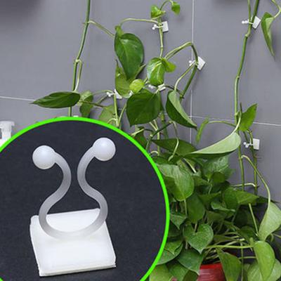 50Pcs Vine Holder Self-adhesive No Punching Easy Installation Invisible Sticky Plants Support Plastic Wall Climbing Vine Clip Gardening Supplies