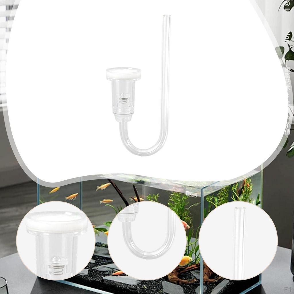 Acrylic Accessories Lightweight Aquarium CO2 System for Aquatic Plants Desk Photo Office