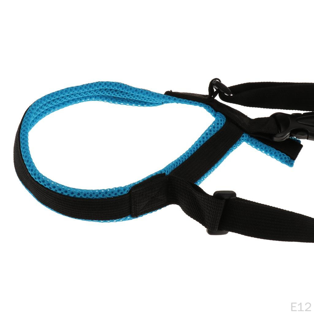 Dog Harness Lifting Aid Walking Aid, Various
