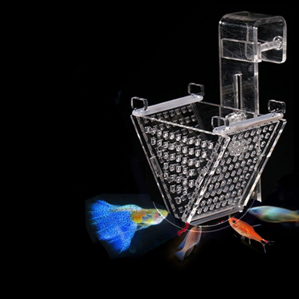 

Clear Red Blood Worm Fish Feeder Mini Fish Tank Feeding Cup Red Worms Plant Cup Earthworm Feeding Style AA