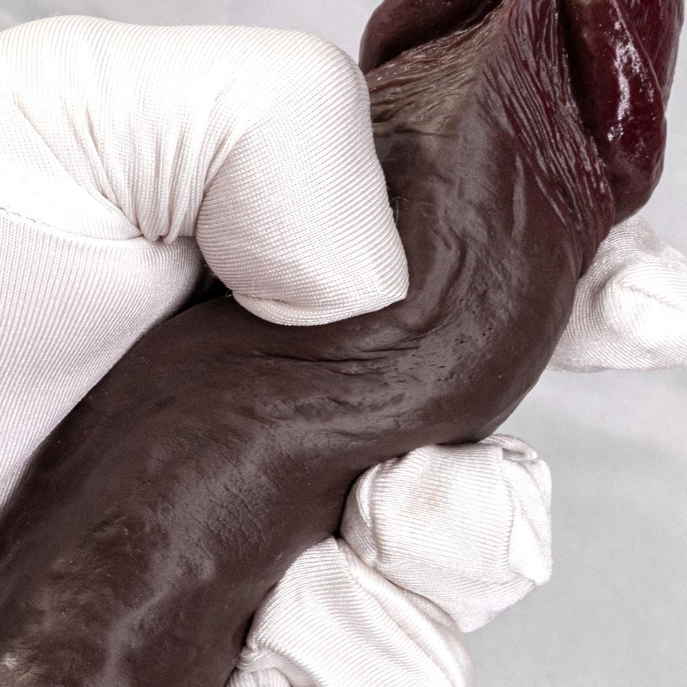 Super Soft Black Tendons Thick Artificial Phallus Female Dildo Liquid Silicone Female Masturbator Sex Toy