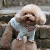 Pure Cotton Cherry Print Wave Side Lapel Top Dog Clothes Pet Clothes Autumn Pet Clothes Sweaters for Pets Dog Christmas Sweater