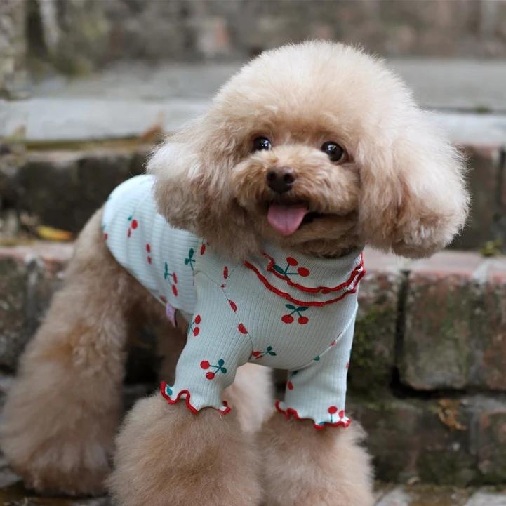 Pure Cotton Cherry Print Wave Side Lapel Top Dog Clothes Pet Clothes Autumn Pet Clothes Sweaters for Pets Dog Christmas Sweater
