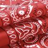 Cotton Paisley Headscarf and Cycling Mask
